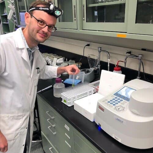 Our next renewable energy source could be an artificial leaf