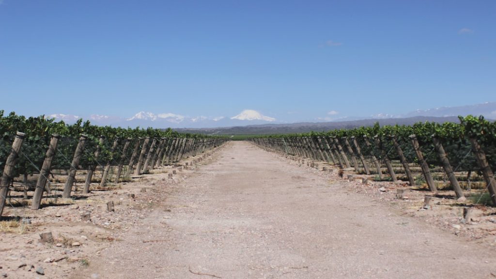 Smart Investors Watch Chilean Production Output as Lithium Market Dynamics Shift